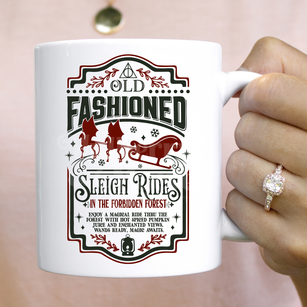 Harry Potter Sleigh Ride DTF Transfer