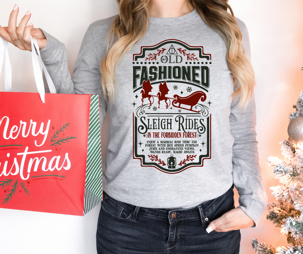 Harry Potter Sleigh Ride DTF Transfer